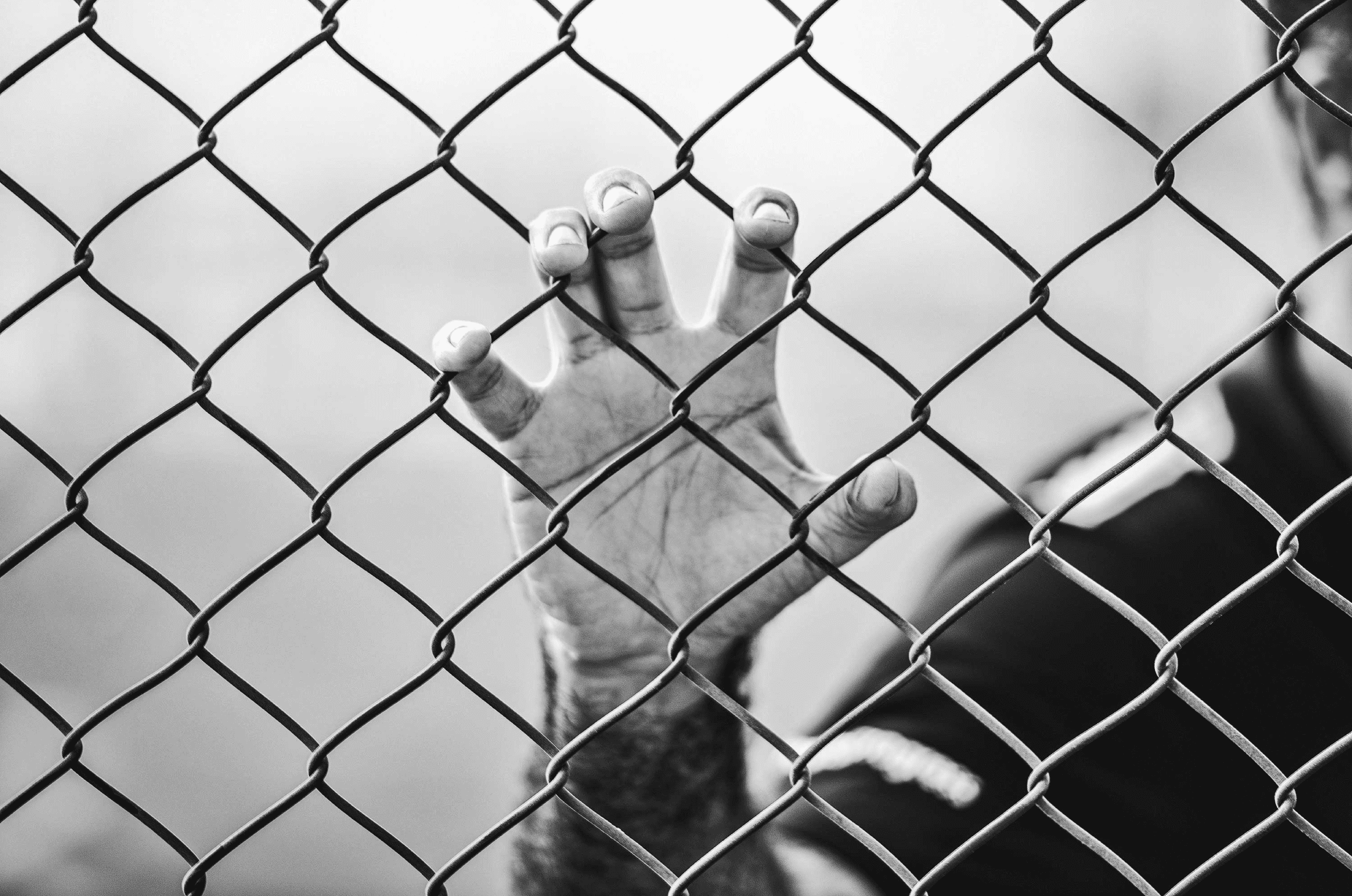 Image of a hand gripping a metal fence